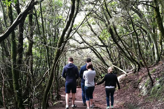 hikking tour in Anaga - Exploring the Hiking Tour in Anaga: An Authentic Canary Islands Experience