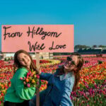 Hillegom: Tulip Barn Entry Ticket - The Greenhouse Restaurant and Refreshment Options