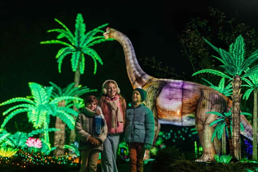 Hilvarenbeek: Light Safari at Beekse Bergen - The Light Safari at Beekse Bergen: A Nighttime Walk into History and Nature