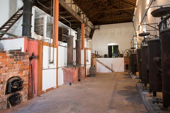 Historic Winery Tour and Tasting in Bombarral - Visiting the Family-Owned Winery Outside Lisbon