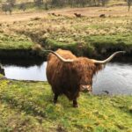 Historical Tour and Seafood Experience - Who Should Book the Oban Historical and Seafood Tour?