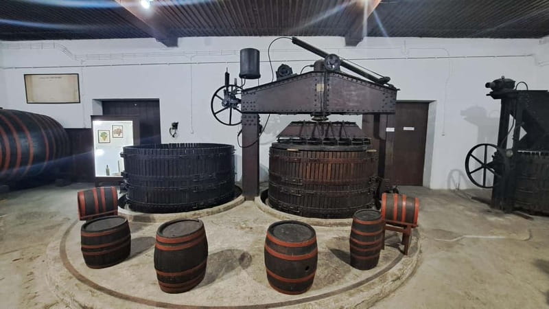 HISTORY WINE & ROYALTY (Avala mountain  Topola  Oplenac) - Exploring the Historic Town of Topola