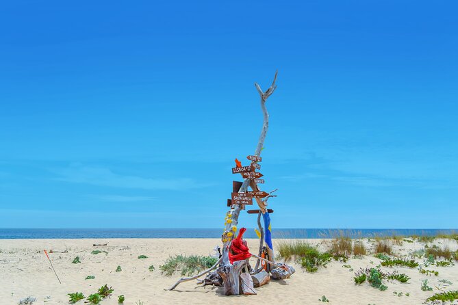 Hop On Hop Off 3 Islands: Deserta, Farol and Culatra - Exploring Ilha do Farol and Its Iconic Lighthouse