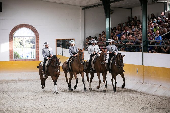 Horse and Flamenco Show in Malaga with Dinner - Flamenco Performance by José Lucenas Company