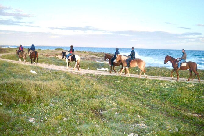 Horse ride in a Salento Nature Reserve with transfer from Lecce - Riding on Gentle Horses with Expert Guides