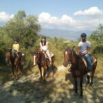 Horse ride, Olive Oil and local foods tasting in a Tuscan farm - Starting Point and Transportation to the Tuscan Hills
