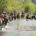 Horse Riding From Kusadasi Port / Hotels - Riding Experience and Guidance