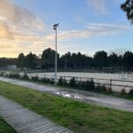 Horse Riding in Aveiro - Ílhavo - Insights into the Horses and Guides