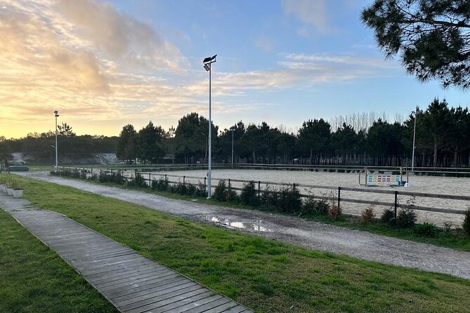 Horse Riding in Aveiro - Ílhavo - Insights into the Horses and Guides