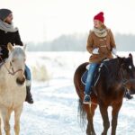 Horse Riding in Bled - Starting at Mamut Slovenia for Easy Access