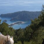 Horse Riding in Fethiye - Hotel Pickup and Convenience in Fethiye