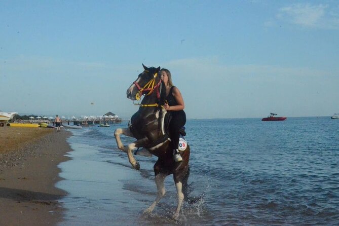 Horse Riding in Manavgat Side Forest and Beach - Beach Stroll Along the Water’s Edge