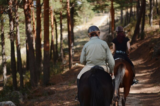 Horse Riding Madrid Natural Park Private trip - Key Points
