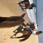 Horse riding on the beach, with private transfer from Lisbon - Pick-up and Transportation Details