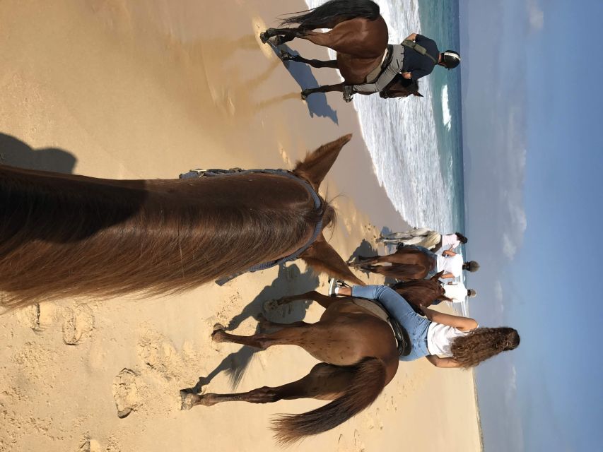 Horse riding on the beach, with private transfer from Lisbon - Pick-up and Transportation Details