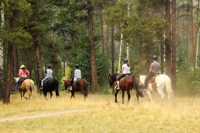 Horse Riding Tour in Marmaris - Exploring the Well-Trained Horses