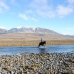 Horse Riding Tour to the Glacier River Delta with Waterfall - Meeting Point at Hestasport Reception in Varmahlíð