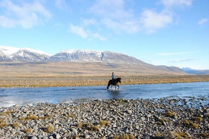Horse Riding Tour to the Glacier River Delta with Waterfall - Meeting Point at Hestasport Reception in Varmahlíð