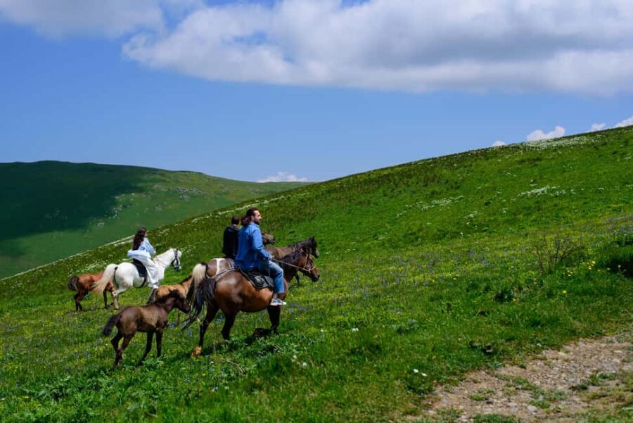 Horseback Adventure in Armenias Highland Pastures - Highlights of the Horseback Journey to Mount Yeghnasar