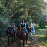 Horseback ride around Doñana National Park - Personalized Horse Selection and Safety Briefing