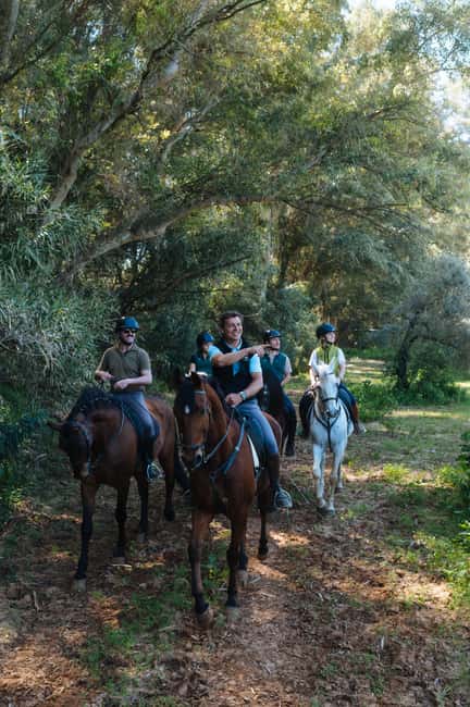Horseback ride around Doñana National Park - Personalized Horse Selection and Safety Briefing