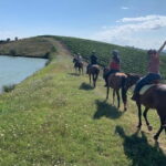 Horseback Ride in S.Gimignano with Tuscan Lunch Chianti Tasting - Horseback Riding Through Vineyards and Olive Groves