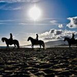 Horseback Riding by the beach or mountain in Tarifa, Spain - 1 to 2 hrs - Weather and Cancellation Policy