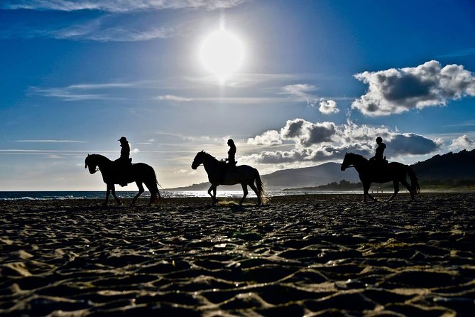 Horseback Riding by the beach or mountain in Tarifa, Spain - 1 to 2 hrs - Weather and Cancellation Policy