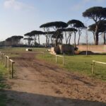 Horseback Riding Experience in Castel Fusano near Rome - Scenic Trails Through Castel Fusano’s Green Landscape