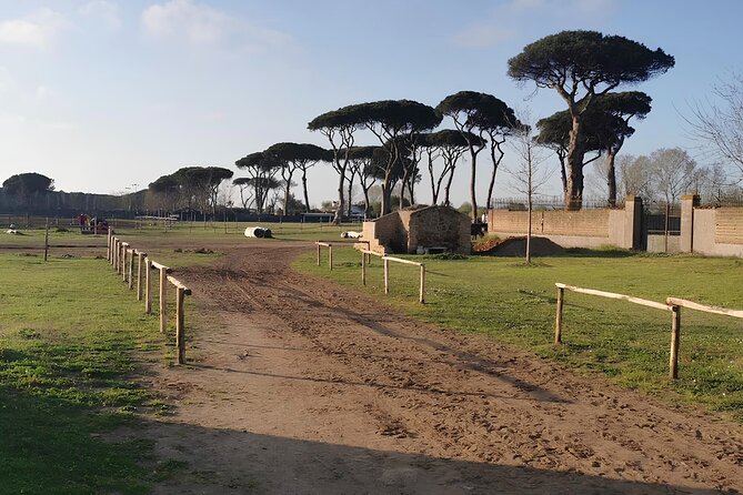 Horseback Riding Experience in Castel Fusano near Rome - Scenic Trails Through Castel Fusano’s Green Landscape