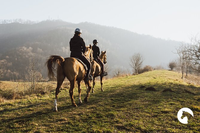 Horseback riding for experts between the lake and the mountains - Starting at Galbiate: The Meeting Point for a Scenic Adventure