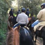 Horseback Riding in Costa Brava with Castell dEmpordà Views - The Experience: Guided Trail through Forests and Countryside