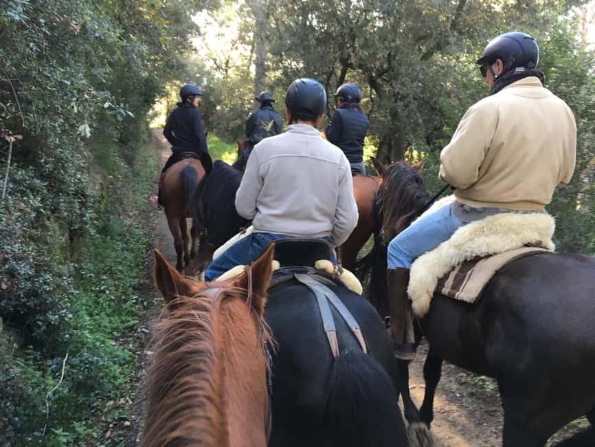 Horseback Riding in Costa Brava with Castell dEmpordà Views - The Experience: Guided Trail through Forests and Countryside