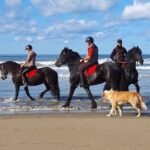 Horseback riding in Durrës - Starting Point and Timing of the Durrës Horseback Ride