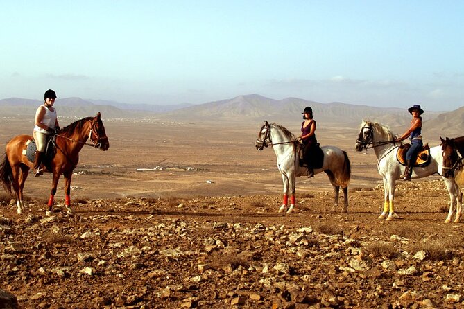 Horseback Riding in Fuerteventura for 1 or 2 hours, Spain - Guides and Riding Skill Levels