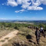Horseback riding in Provence Luberon - Meet the Well-Experienced Horses
