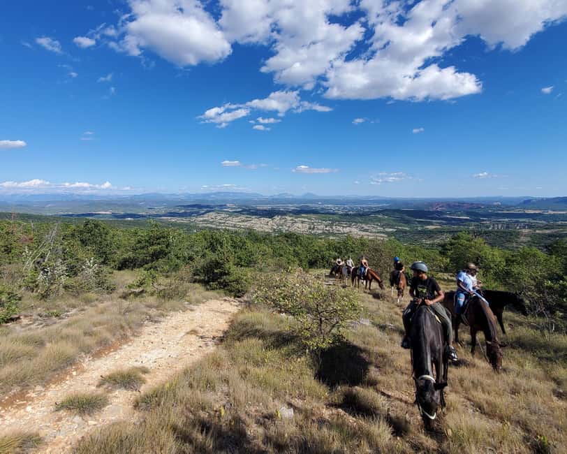 Horseback riding in Provence Luberon - Meet the Well-Experienced Horses