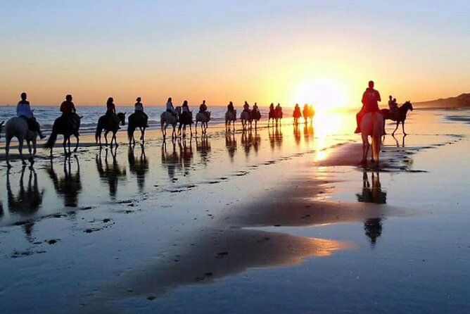 Horseback riding through Doñana and visit of El Rocio - Private tour - From Seville to the Beaches of Doñana Natural Park
