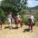 Horseback riding & Wine Tasting and snack Lunch at noble Estate - A Cultural Journey at the Historic Wine Estate