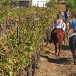 Horseback Ridings and Wine Tastings in a Winery of San Gimignano - Scenic Horseback Riding through Vineyards and Woods