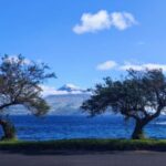 Horta, Faial, Azores: Walking Tours and Trails with a Local Guide - Starting at Peter Café Sport: The Meeting Point in Horta
