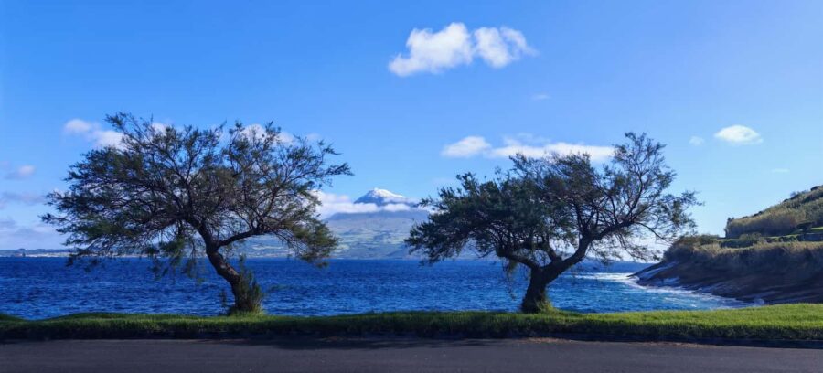 Horta, Faial, Azores: Walking Tours and Trails with a Local Guide - Starting at Peter Café Sport: The Meeting Point in Horta