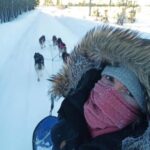 Hudiksvall: Dog Sledding Tour with Bonfire and Refreshment - The Dog Sledding Experience: Guided or Self-Driven