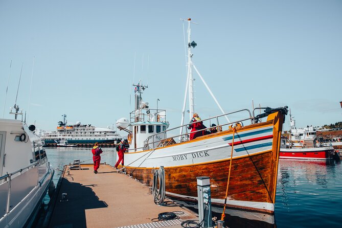 Húsavík Whale Watching Tour, family owned and operated - What Makes This Tour a Private Experience?