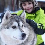 Husky Safari from Levi 2 KM or 5 KM with Husky Sledge Ride - Scenic Snowy Landscapes Around Levi