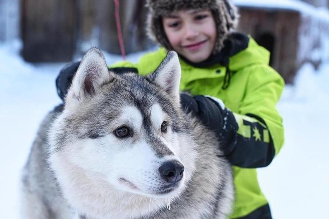 Husky Safari from Levi 2 KM or 5 KM with Husky Sledge Ride - Scenic Snowy Landscapes Around Levi