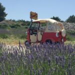 Hvar Private Walking Tour With A Professional Guide - Visiting the Main Harbour and Surrounding Squares