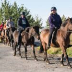 Hveragerdi: The Siggi Horse Riding Tour - The Scenic Starting Point at Vellir