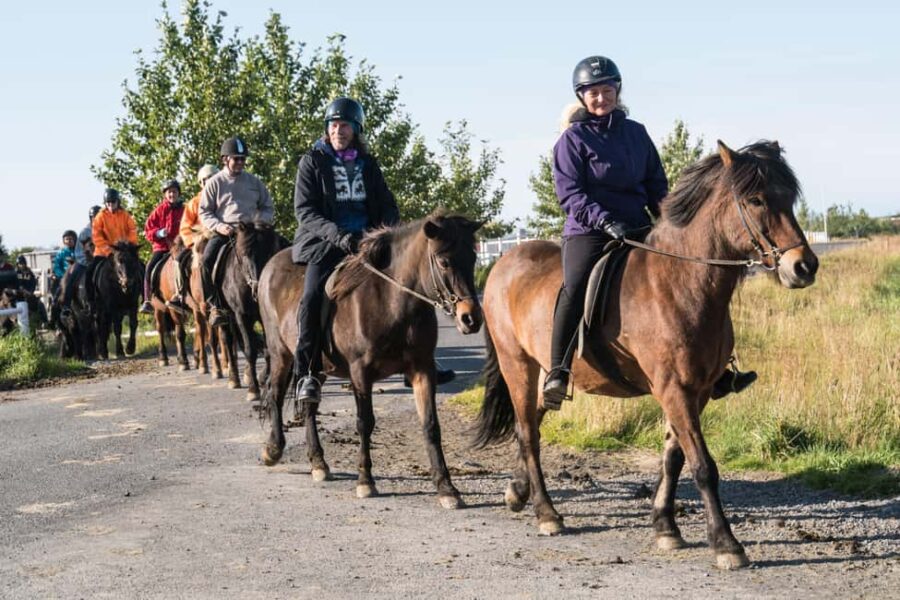 Hveragerdi: The Siggi Horse Riding Tour - The Scenic Starting Point at Vellir