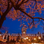 Iasi Walking City Tour - Visiting Strada Cuza Vod – A Historic Pedestrian Street